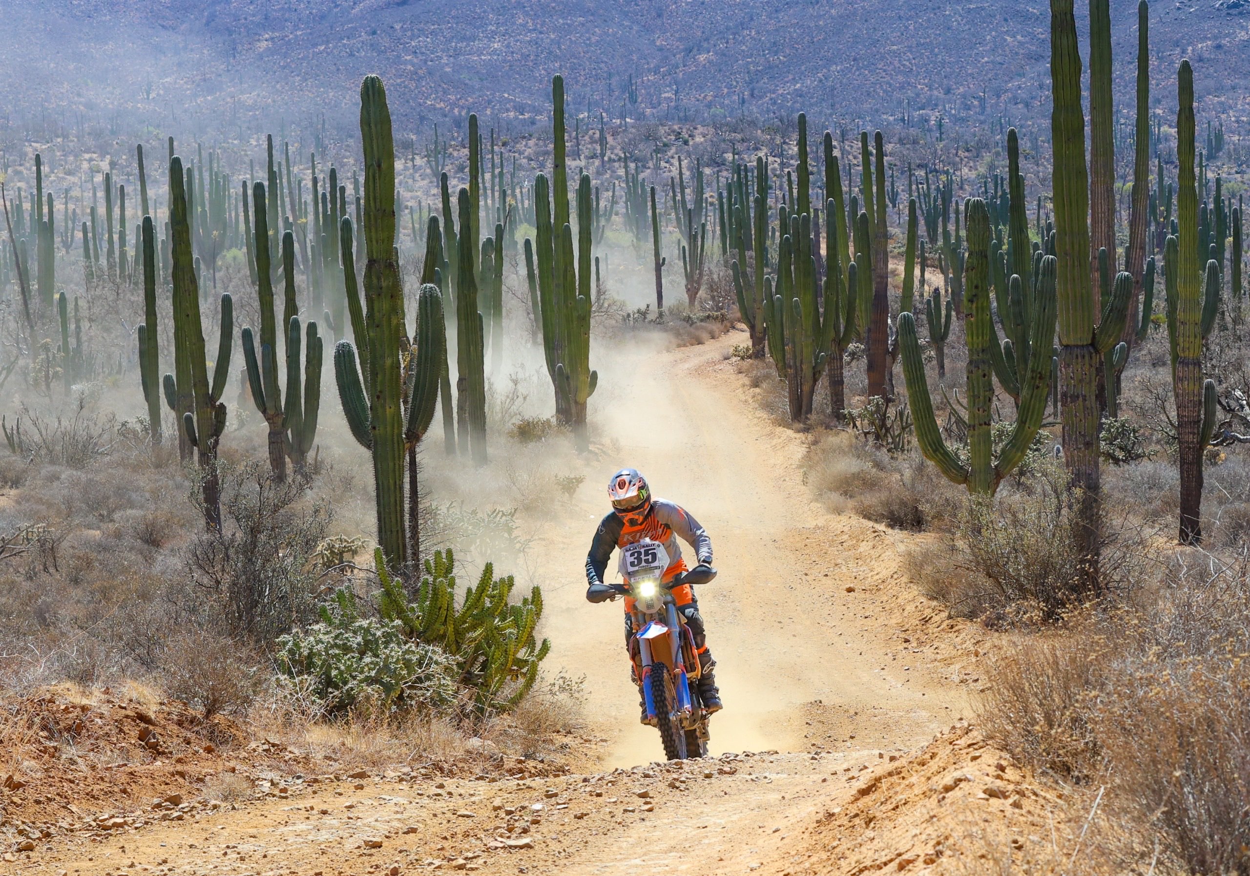 Scott on a cactus-lined Baja trail